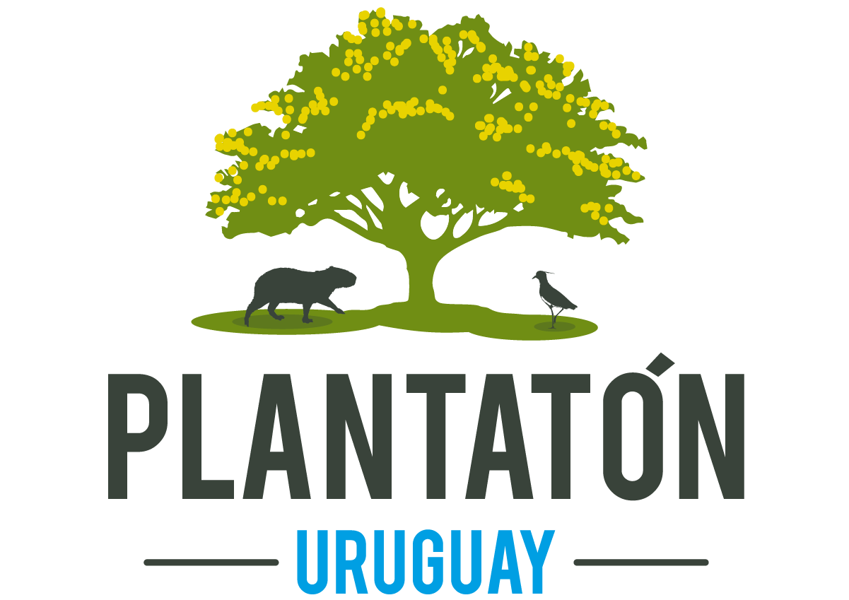 Plantatón Uruguay